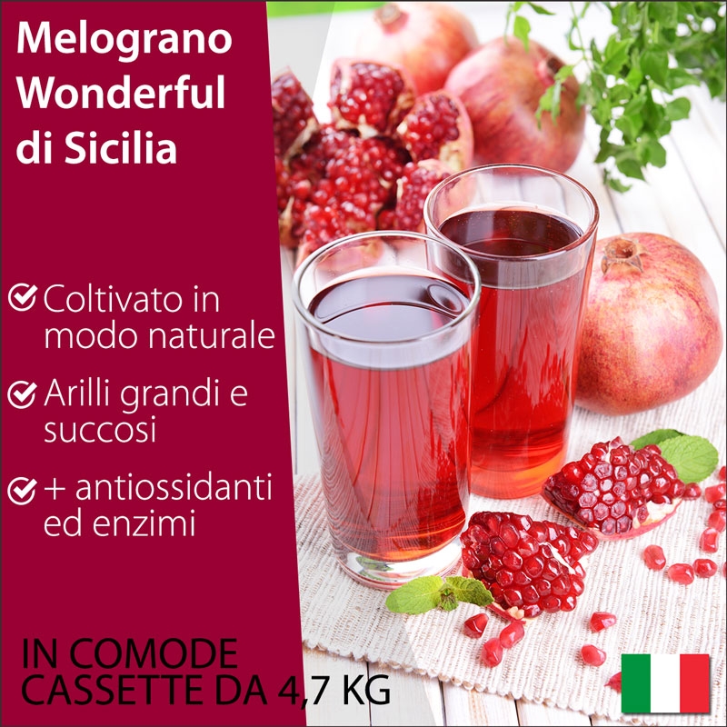 immagine di due Melograni Wonderful del mediterraneo e particolare degli arilli interni immagine di due Melograni Wonderful del mediterraneo e particolare degli arilli interni