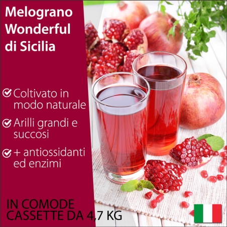 immagine di due Melograni Wonderful del mediterraneo e particolare degli arilli interni