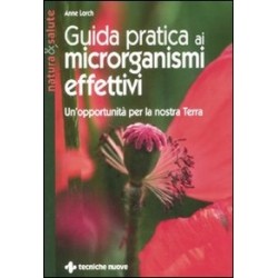 Libro Guida pratica ai...