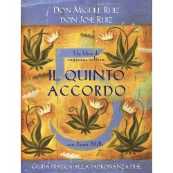 Libro Il quinto accordo -...