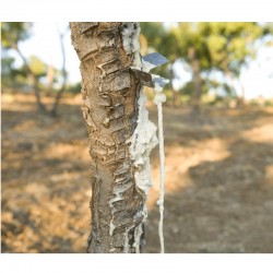 CANNOLI DI MANNA DI...