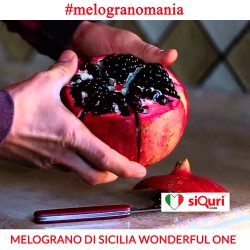 Melograno Wonderful One -...