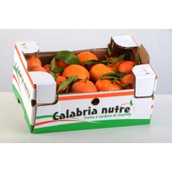 Clementine della Calabria -... 2