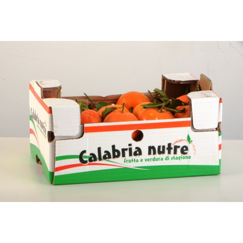 Clementine della Calabria - coltivate...
