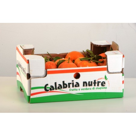Clementine della Calabria - coltivate con sistema Agroecologico