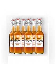 Tè kombucha aromatizzato -... 2