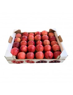 Mele Gala Biologiche