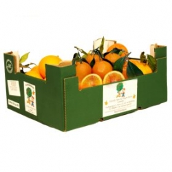 immagine di una cassetta di Arance Tarocco di Sicilia Bio-Micorrizate | Kg 3 2