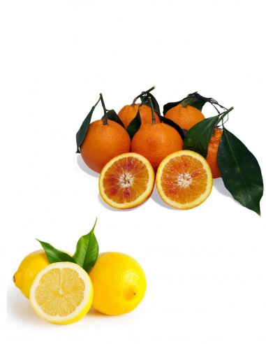 Arance Tarocco e Limoni Biologici-...