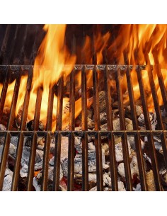 Carbone Vegetale per Grill... 2