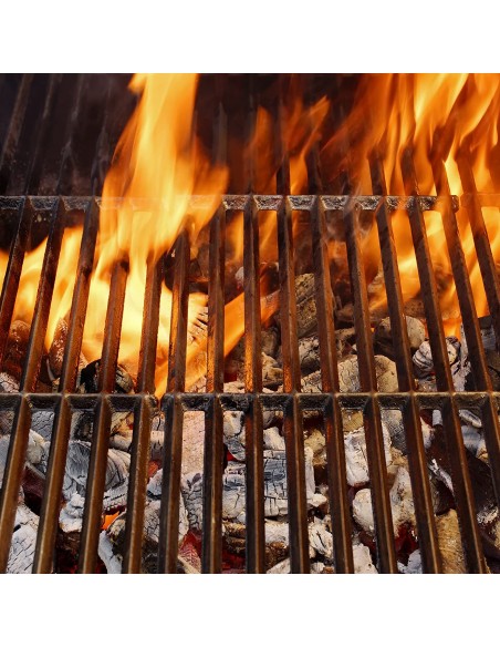 Carbone Vegetale per Grill e Barbecue in Legno di Faggio Ecologico - Sacco da 20 Kg