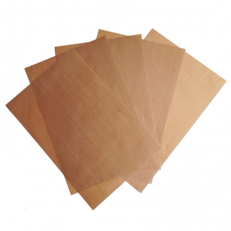 immagine dei fogli del Kit 6 fogli antiaderenti per essiccatore Biosec