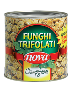 FUNGHI CHAMPHIGNON...