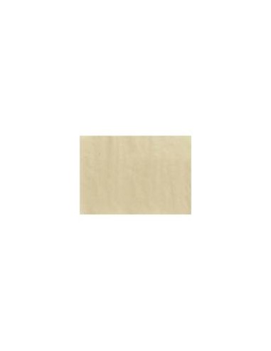GARDENIA TOVAGLIETTA TNT BEIGE 30X40...