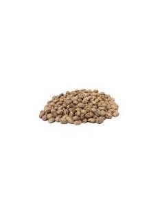 FAGIOLI-LAMON SECCHI-GR400