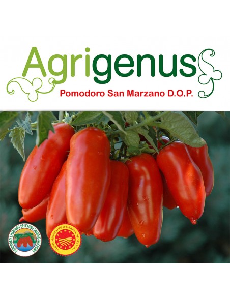 Agrigenus Pomodori San Marzano DOP (Agro Sarnese Nocerino) 12 Pezzi da 400 g