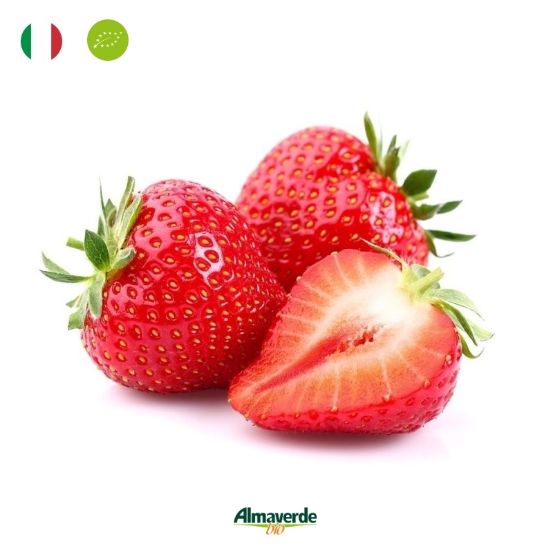 Immagine stampi per ghiaccioli classici
