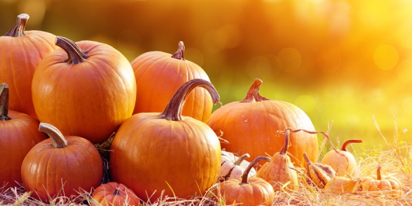 Le incredibili proprietà della zucca per i tuoi succhi vivi