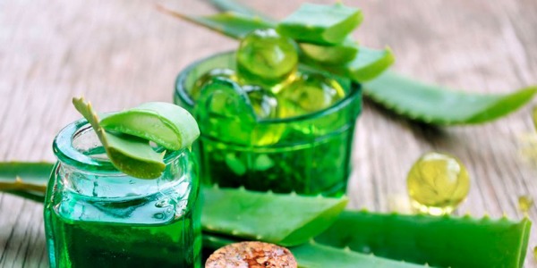 Energy drink detox a base di aloe: la ricetta di inizio primavera