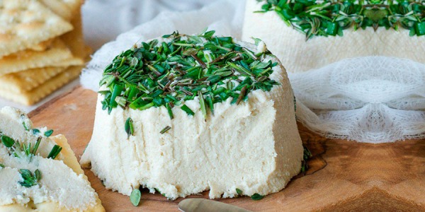 Formaggio vegan: come farlo in casa partendo dal latte vegetale autoprodotto