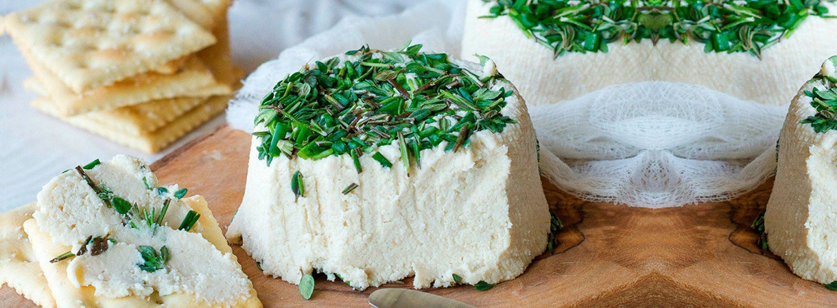 Formaggio vegan: come farlo in casa partendo dal latte vegetale autoprodotto